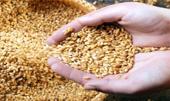 افزایش قیمت نهاده و کمبود بذر حقیقت ندارد