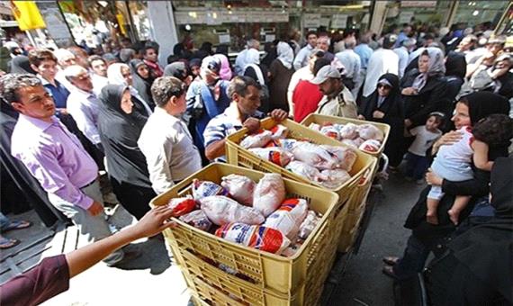 توزیع 600 تن مرغ منجمد و 157 تن گوشت گوساله منجمد در استان فارس آغاز شد